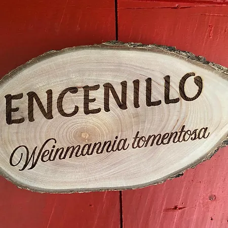 El Hostal Del Abuelo Murillo  Exterior photo