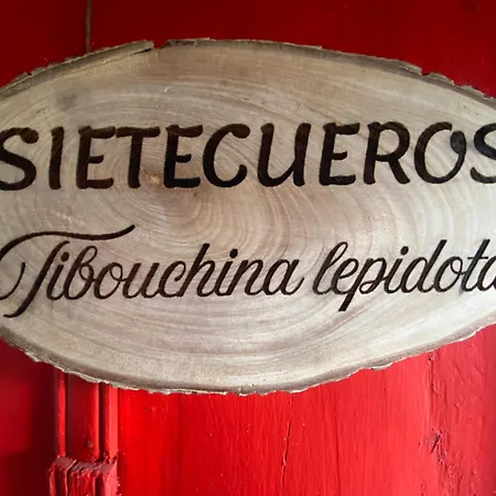 El Hostal Del Abuelo Murillo  Exterior photo