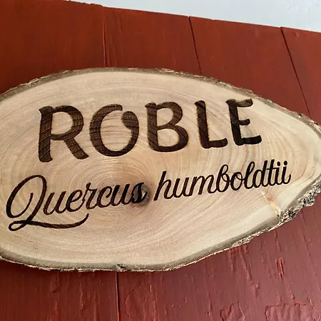 El Hostal Del Abuelo Murillo  Exterior photo