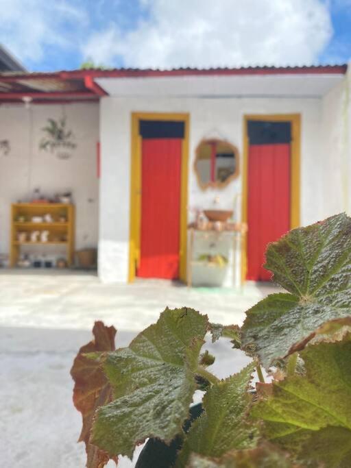 El Del Abuelo Murillo (Tolima)