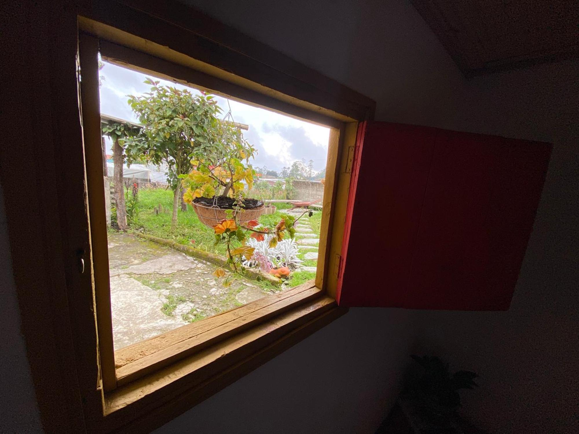 El Del Abuelo Murillo (Tolima)