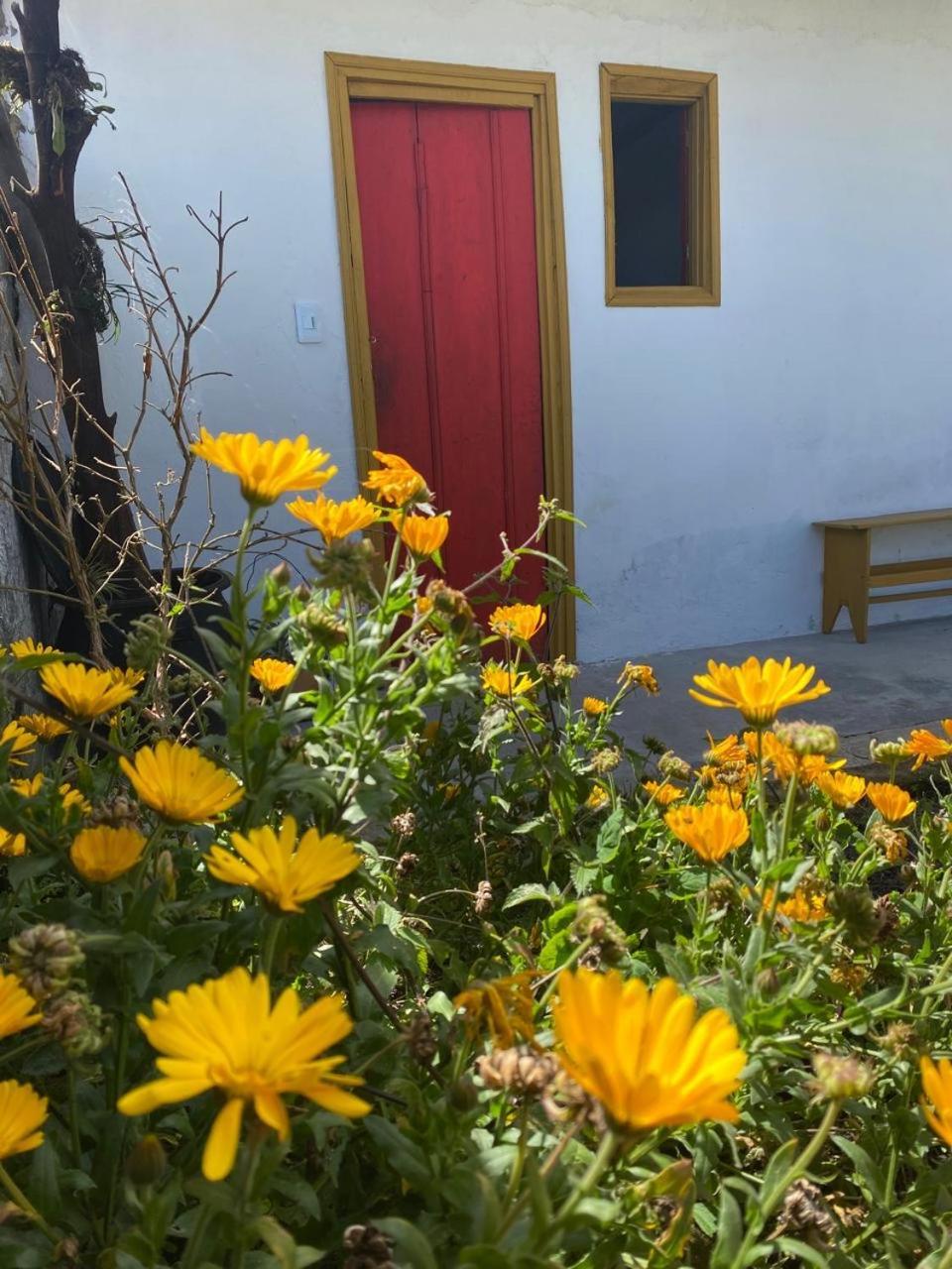 Holiday home El Del Abuelo